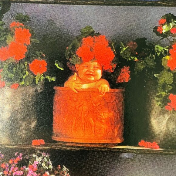 Anne Geddes Flower Stall Blank Greeting Card W Recycled Paper Envelop Vintage - Picture 4 of 12